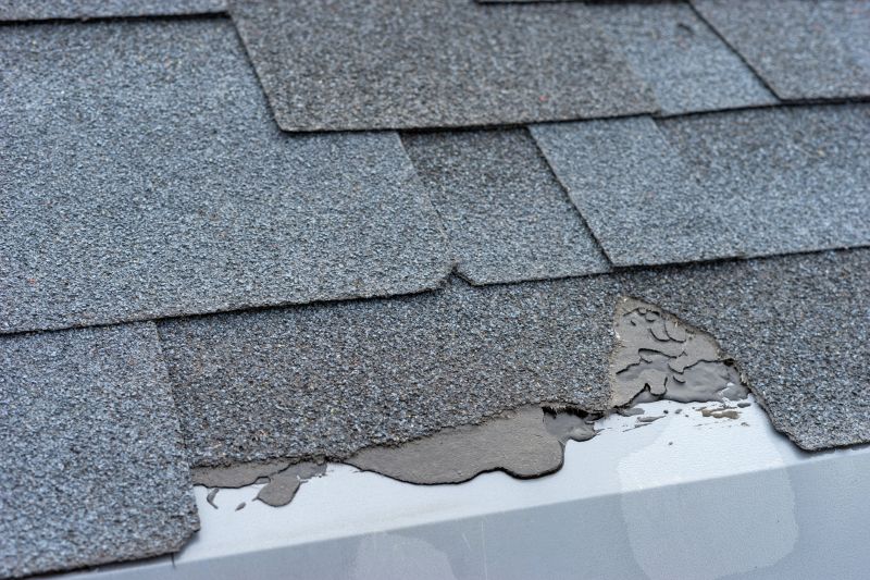 Asphalt Roof Leak Repair