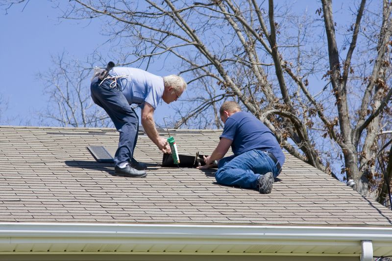 Skilled Roofing Contractors